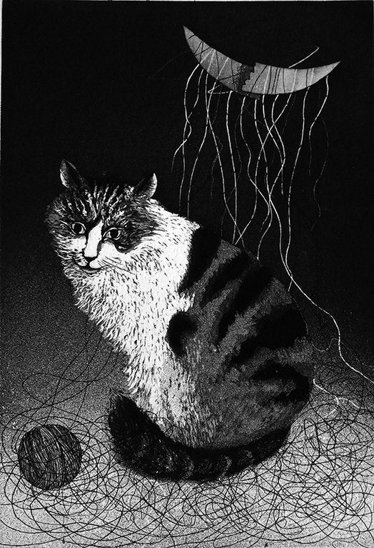 Gatti italiani.
