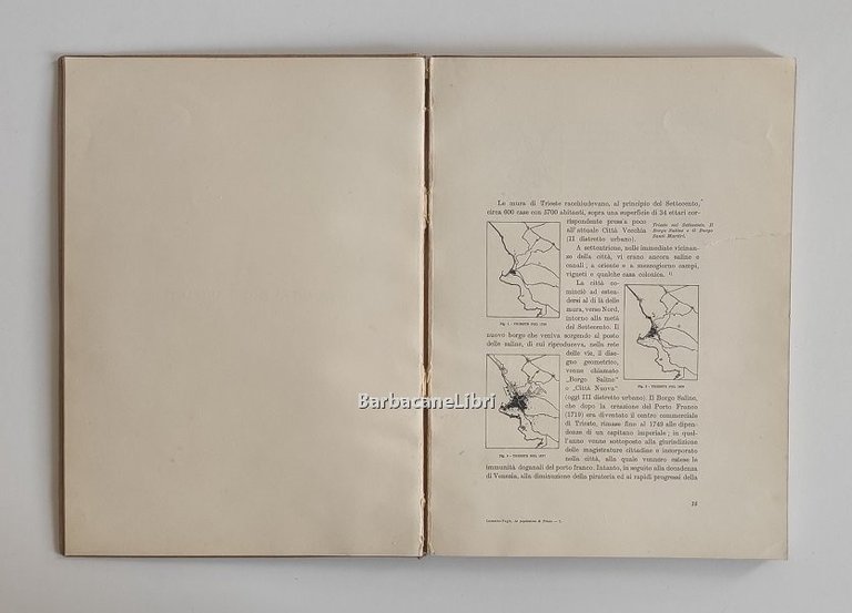 La popolazione di Trieste (1875-1928)