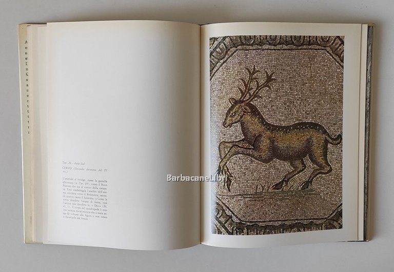 I mosaici cristiani di Aquileia