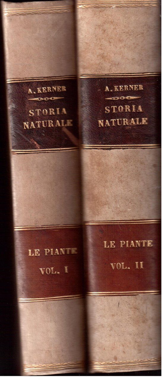 La vita delle piante