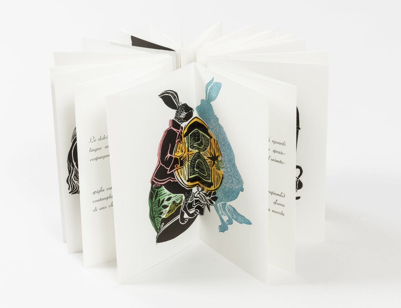 Carta Luna. Illustrato da Elisa Pellacani.