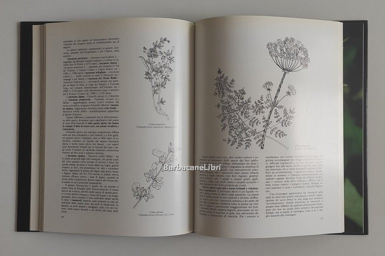 Fiori delle Dolomiti orientali. Indicazioni botaniche per un invito alla …