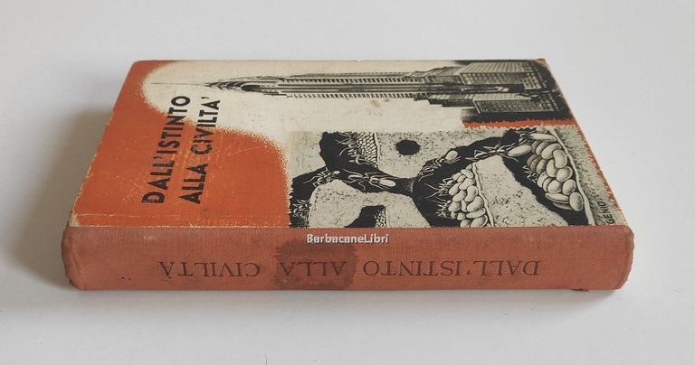 Dall'istinto alla civiltà
