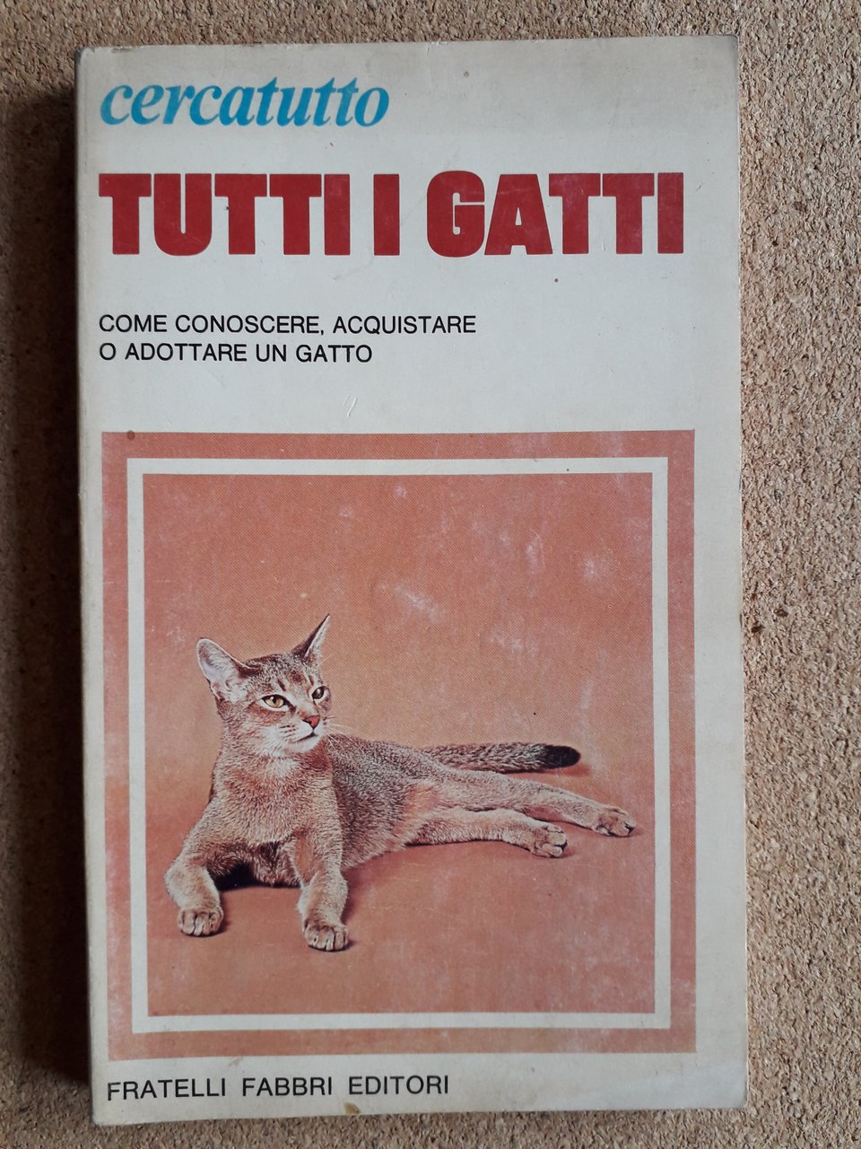 Tutti i gatti Come conoscere, acquistare o adottare un gatto